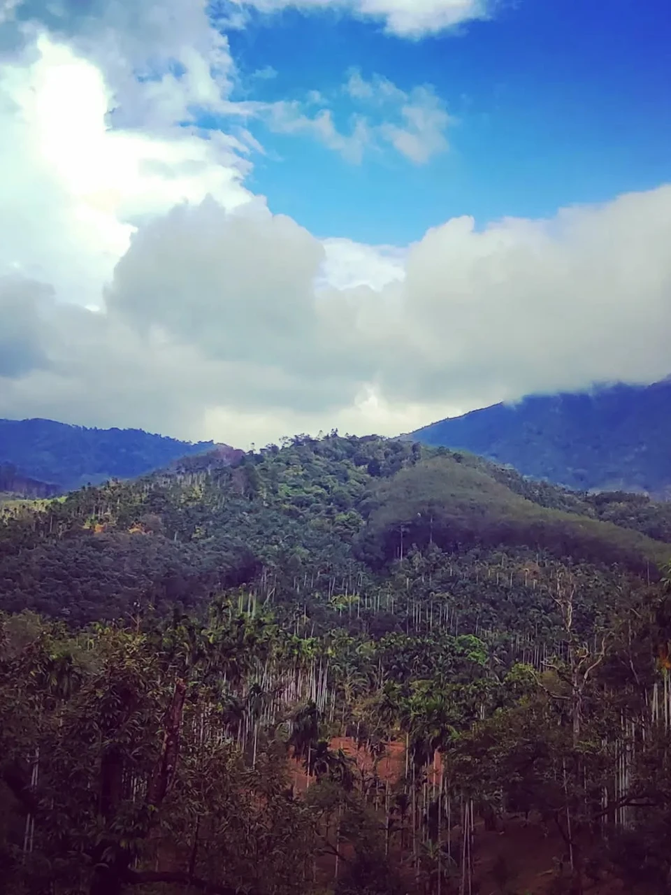 Photo 1 from Benjamin Simier’s Instagram post: Garden view, Ranong, Thailand 🇹🇭