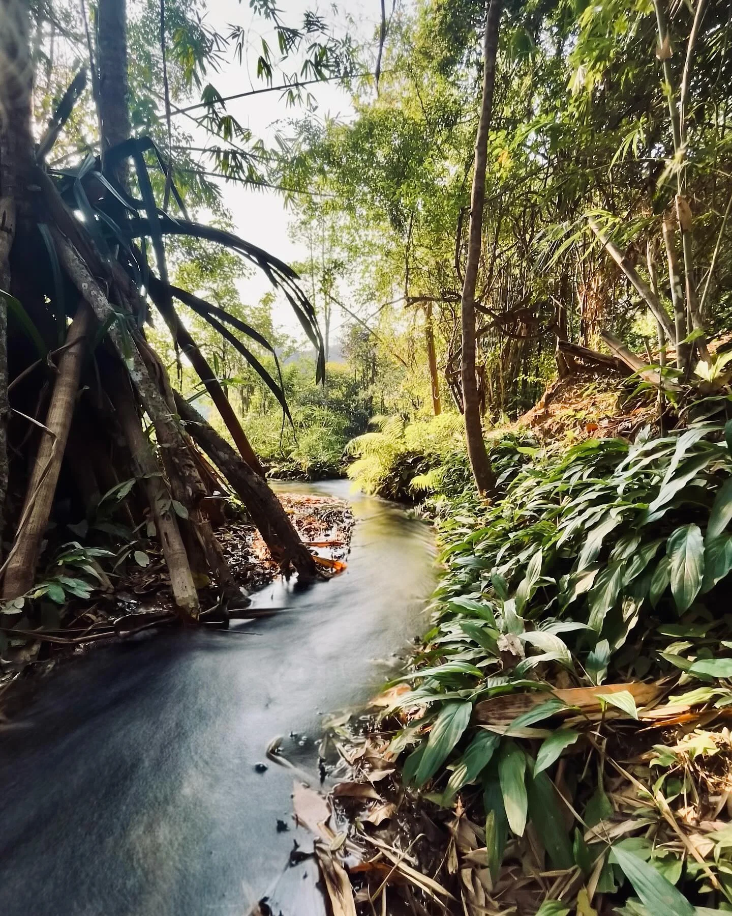 Photo 1 from Benjamin Simier’s Instagram post: Waterfall 💧