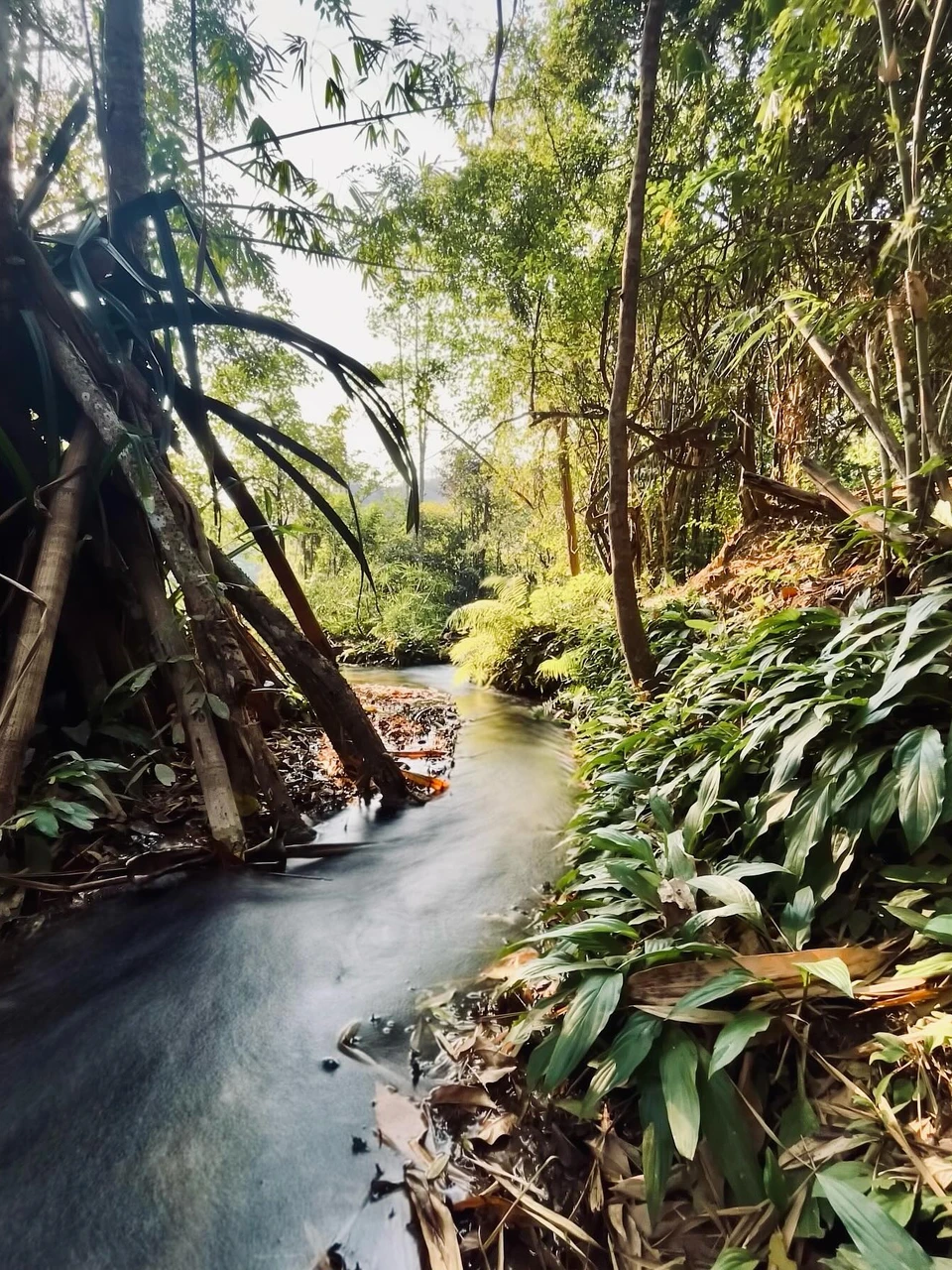 Photo 1 from Benjamin Simier’s Instagram post: Waterfall 💧