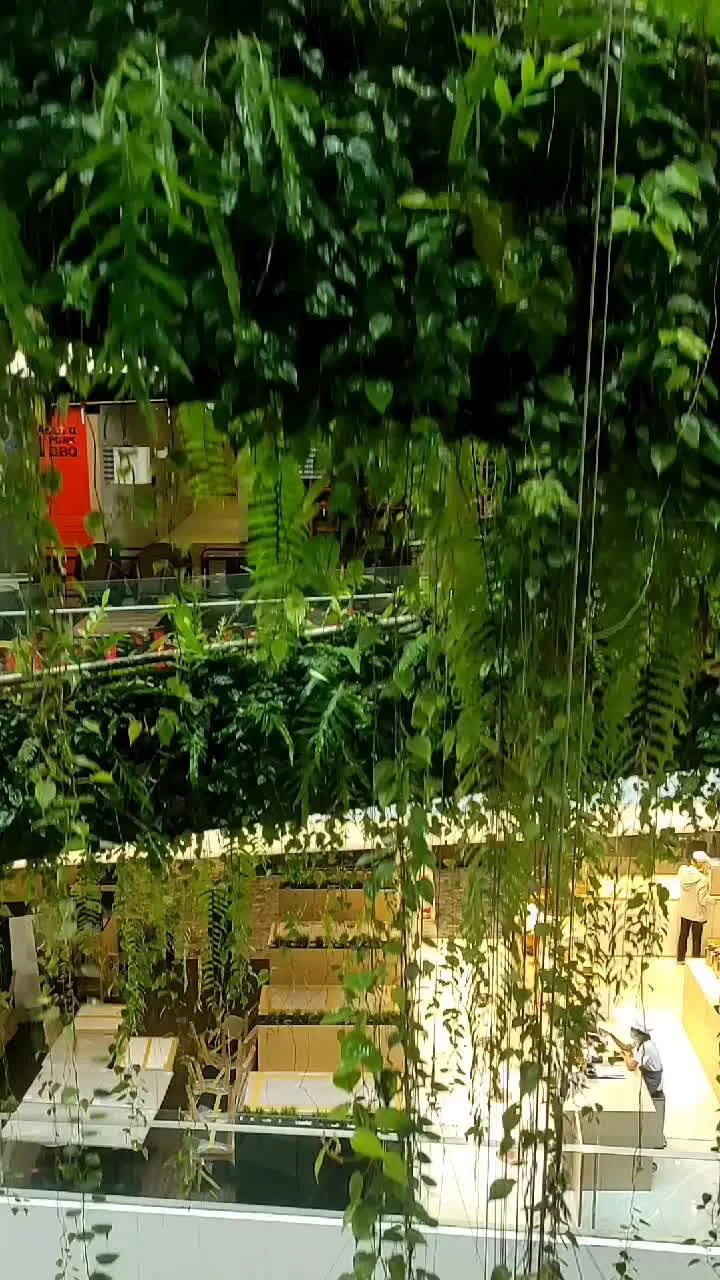 Video cover from Benjamin Simier’s Instagram reel: Shopping Mall timelapse in Bangkok 🇹🇭