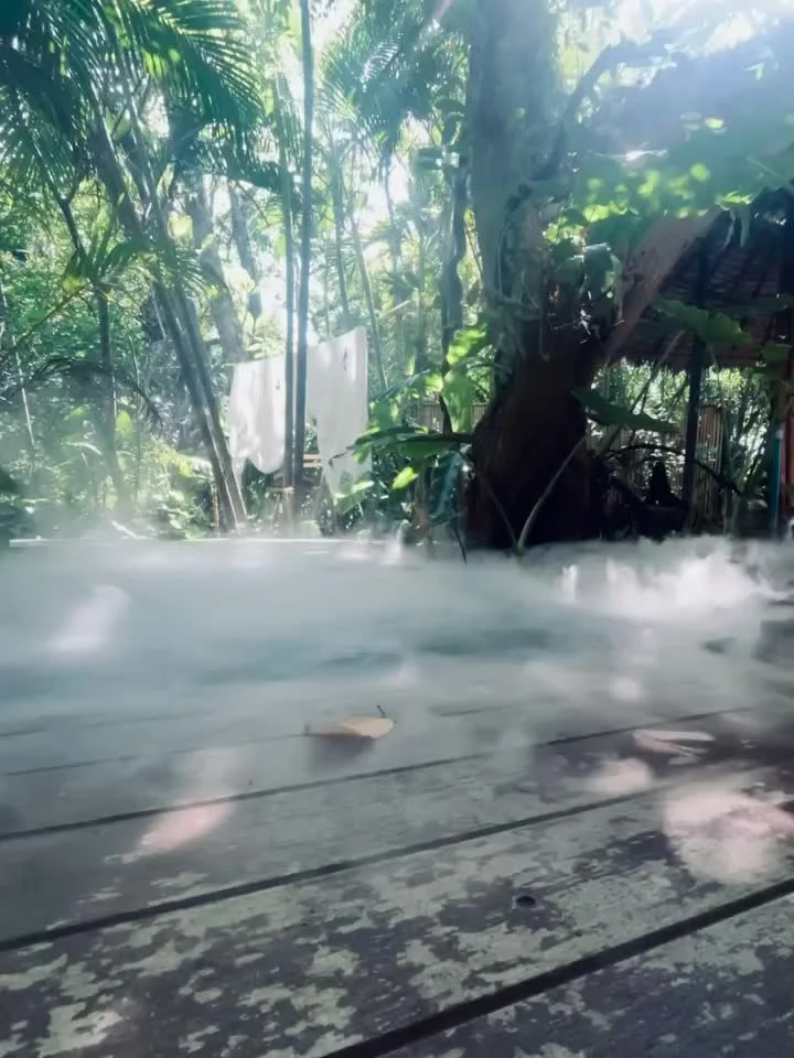 Video cover from Benjamin Simier’s Instagram reel: Natural place 🇹🇭