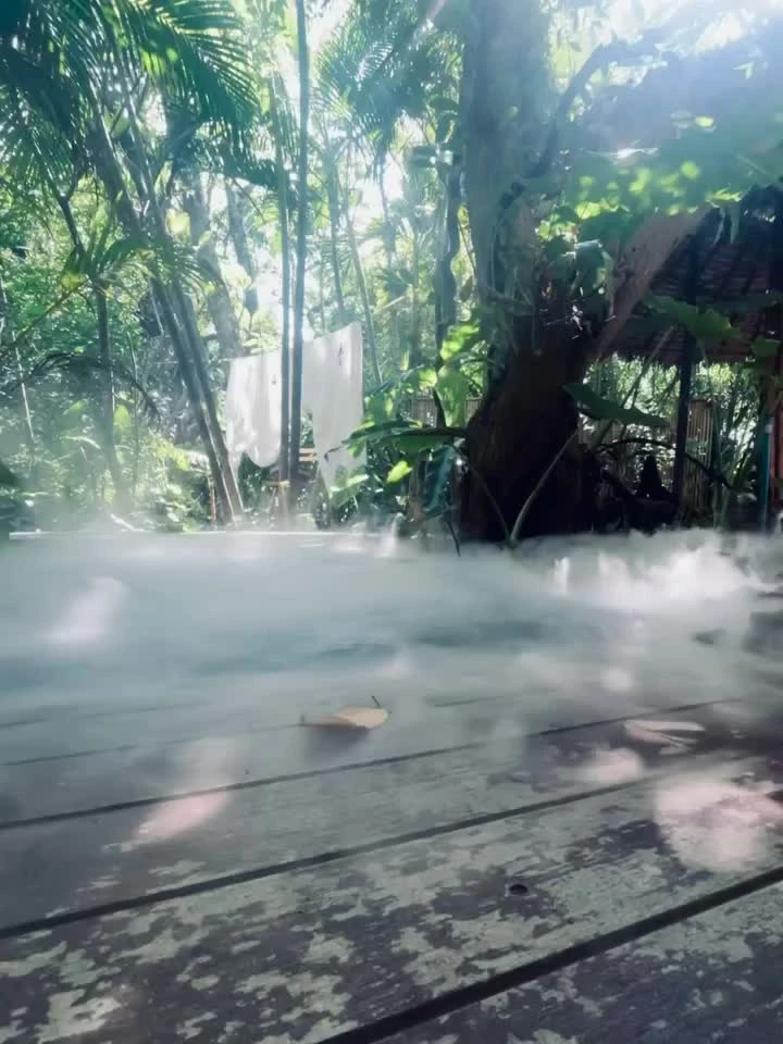 Video cover from Benjamin Simier’s Instagram reel: Natural place 🇹🇭