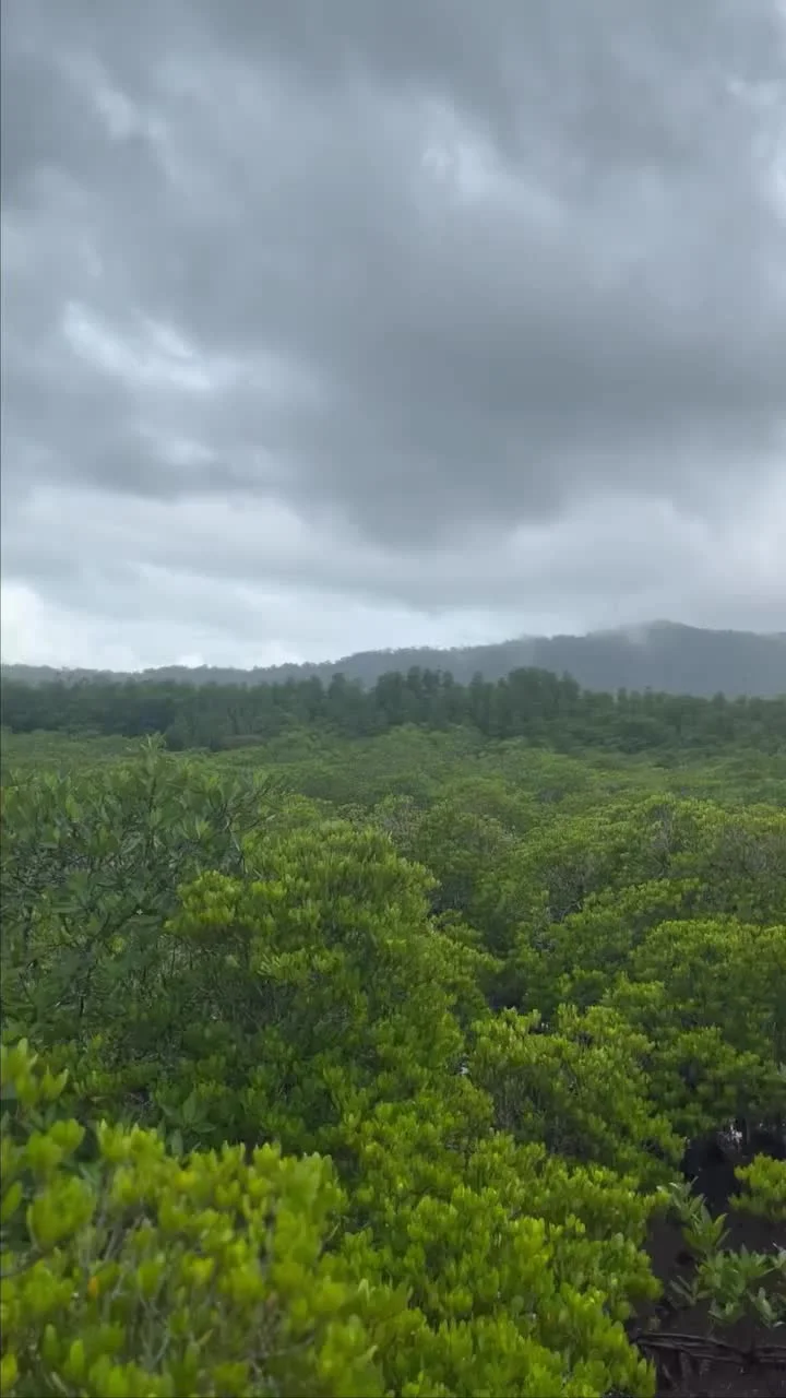 Video cover from Benjamin Simier’s Instagram reel: Thailand 🇹🇭