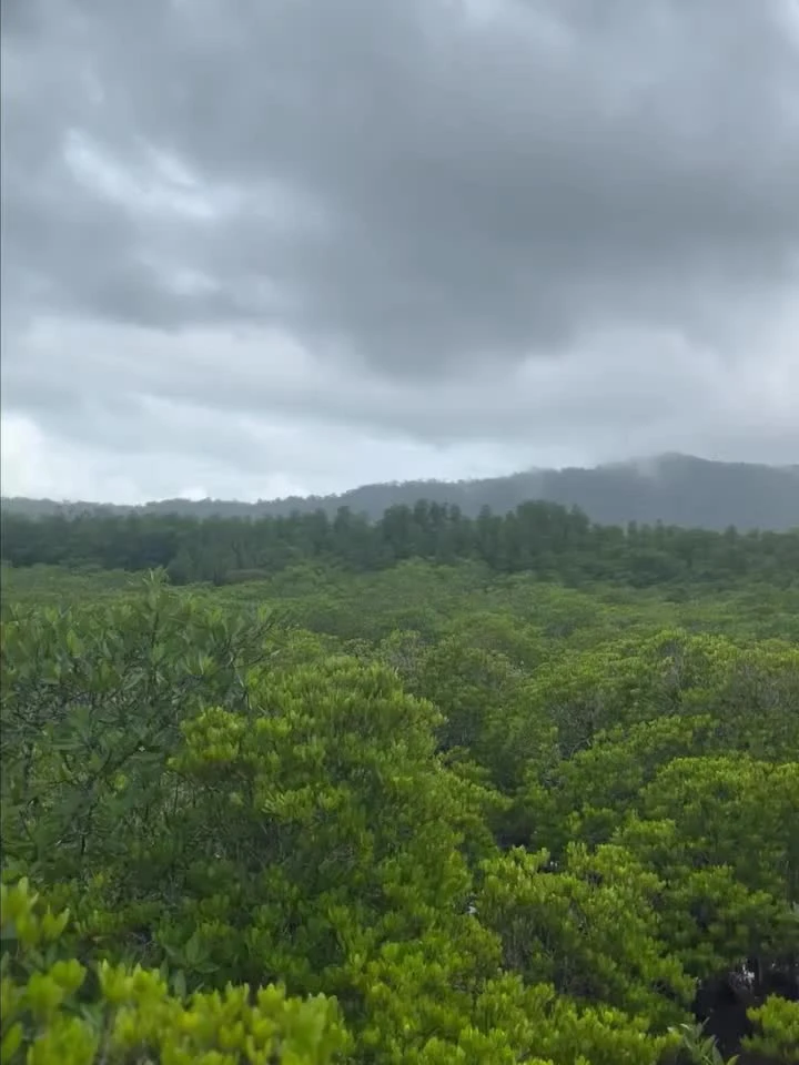 Video cover from Benjamin Simier’s Instagram reel: Thailand 🇹🇭